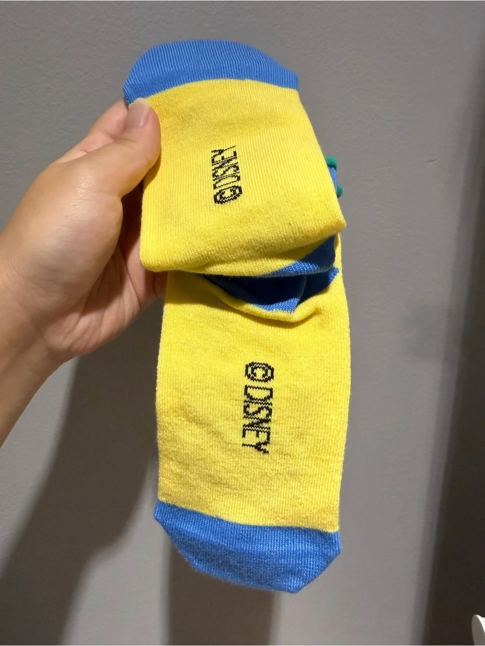 Tokyo Disney Aristocats Socks